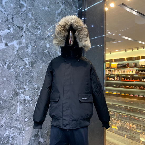 Canada Goose Down Jacket Wmns ID:201911c120